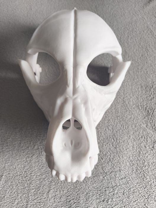 Skull dog maska furry fursuit maska 3d