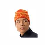 Шапка Arc’teryx Bird Head Toque Solaris/Edziza