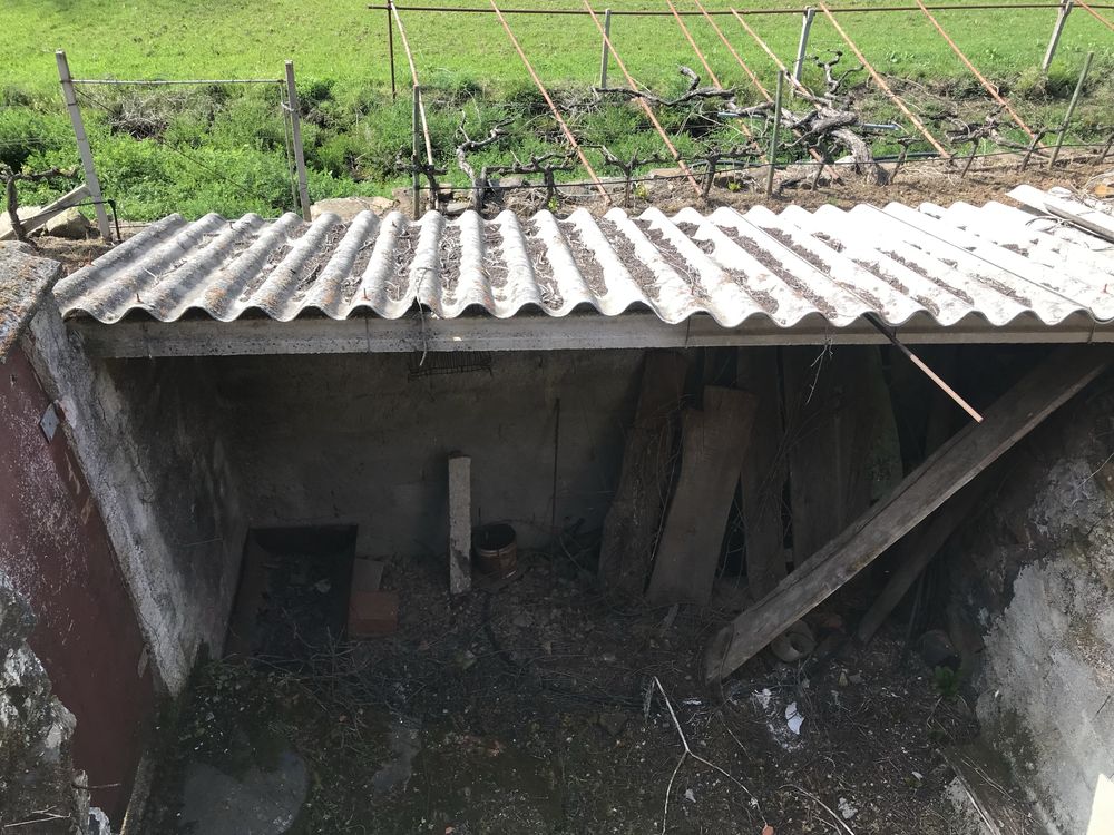 Terreno rústico com casa/adega
