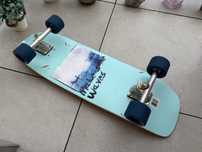 Surfskate Fish Skateboards
