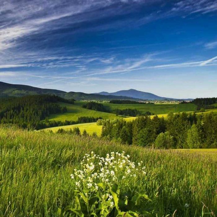 Malinówka duży dom w górach na wyłączność - sauna, jacuzzi - MAJÓWKA