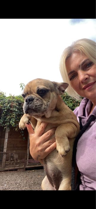 Дівчинка є і хлопчик також