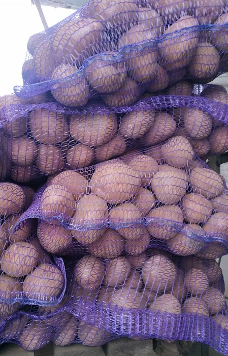 Картошка картофель картопля Доставка