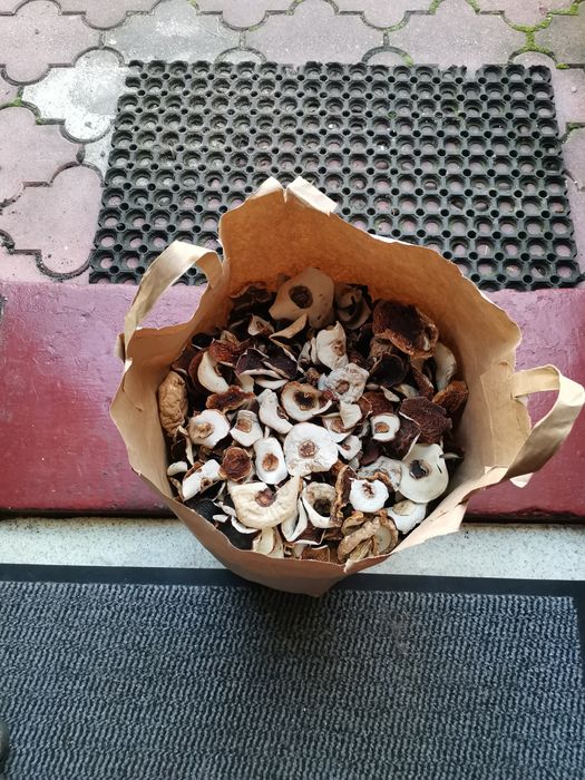 Borowik suszony Cały (kapelusze) 2025r,ł