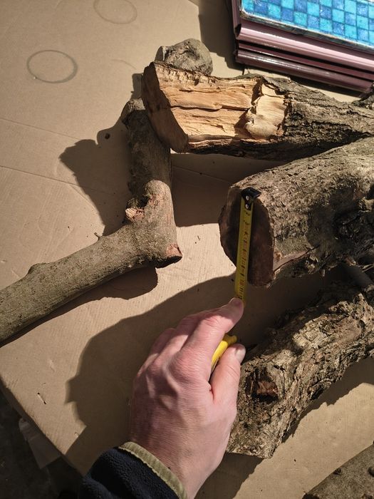 Patyki gryzaki 25 kg dla psa