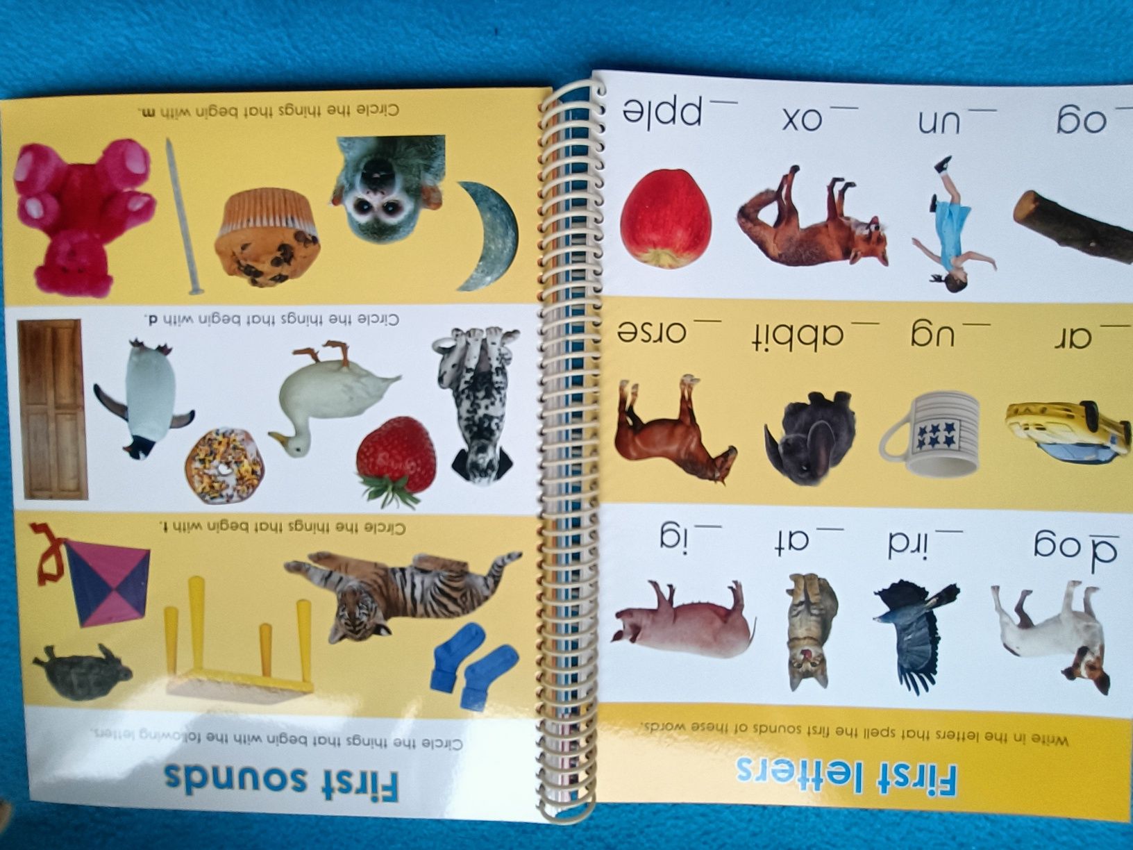 Livro atividades inglês escreve e apaga
