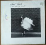 Robert Plant - The Principle Of Moments - płyta winylowa
