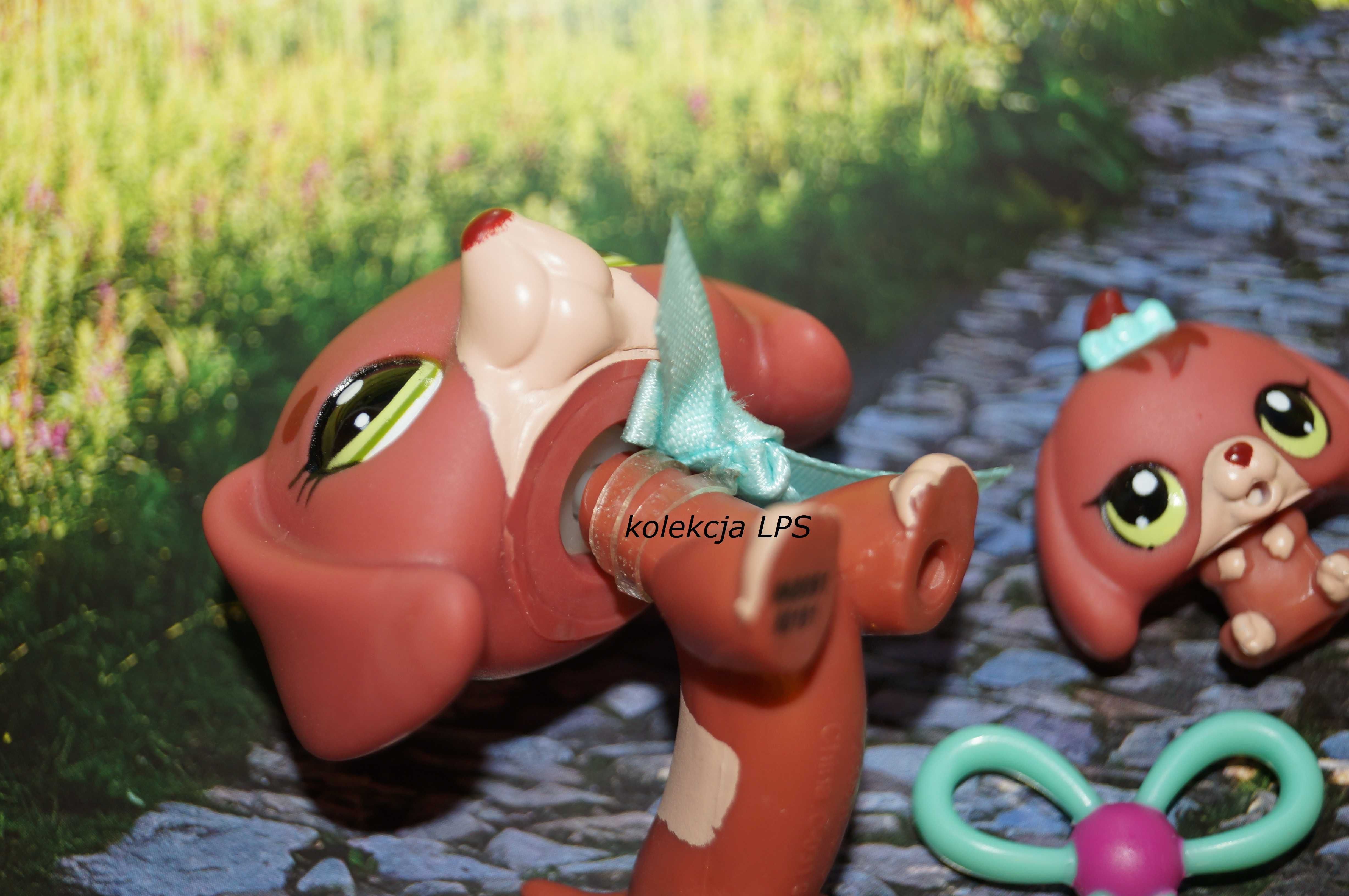 LPS Littlest Pet Shop jamnik #3601 #3602 oryginalny pop oryginał Iris