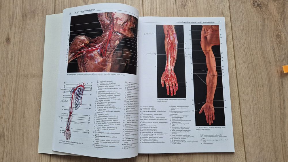 Fotograficzny atlas anatomii człowieka
Chihiro Yokochi
, 
Johannes W.