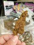 10 gram - Diesel Skunk najpiękniejsze kwiaty, wielkie topy !