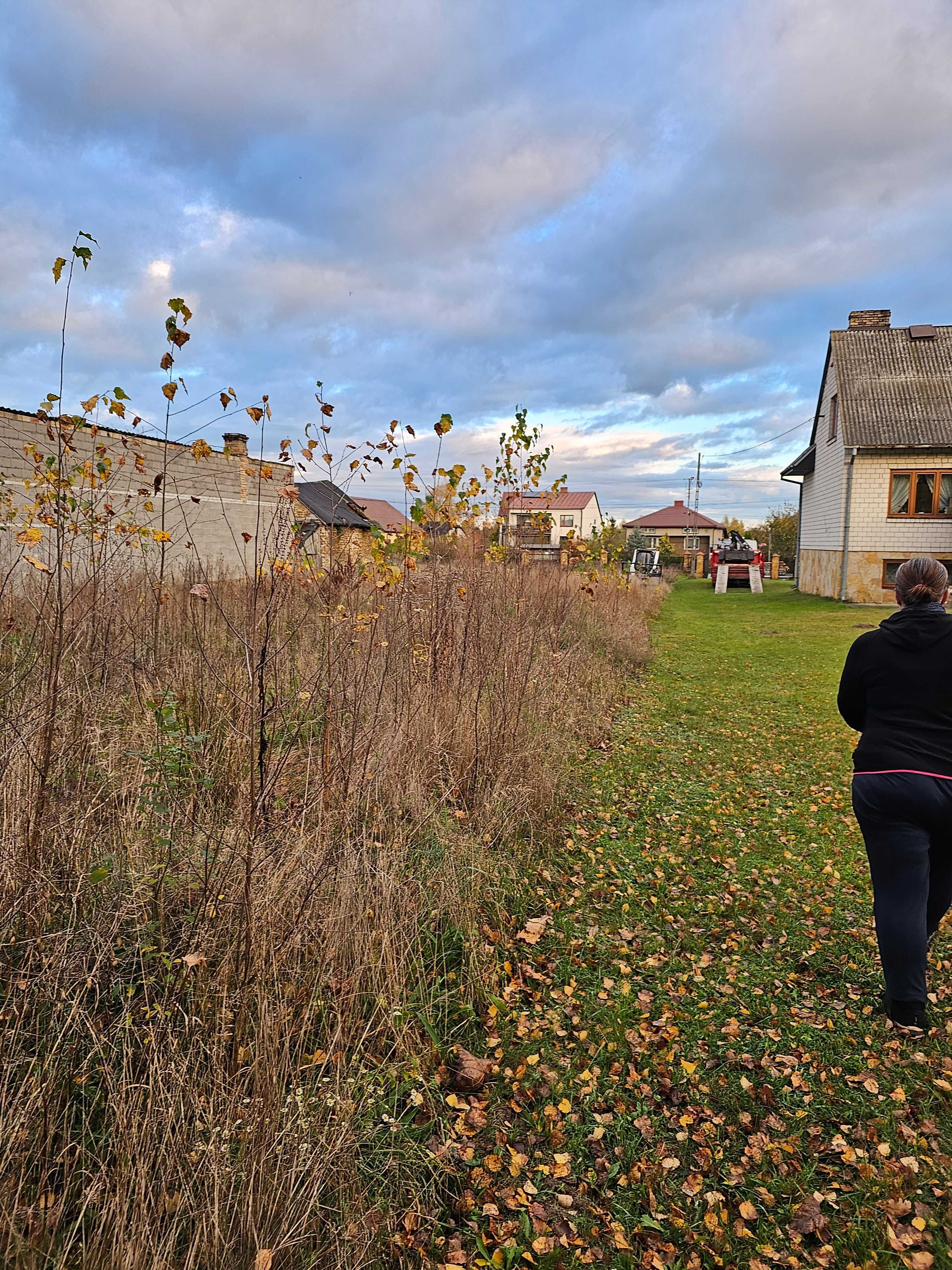 Mulczer wgłębny, mulczowanie, usługi mulczerem, mulczer leśny bobc