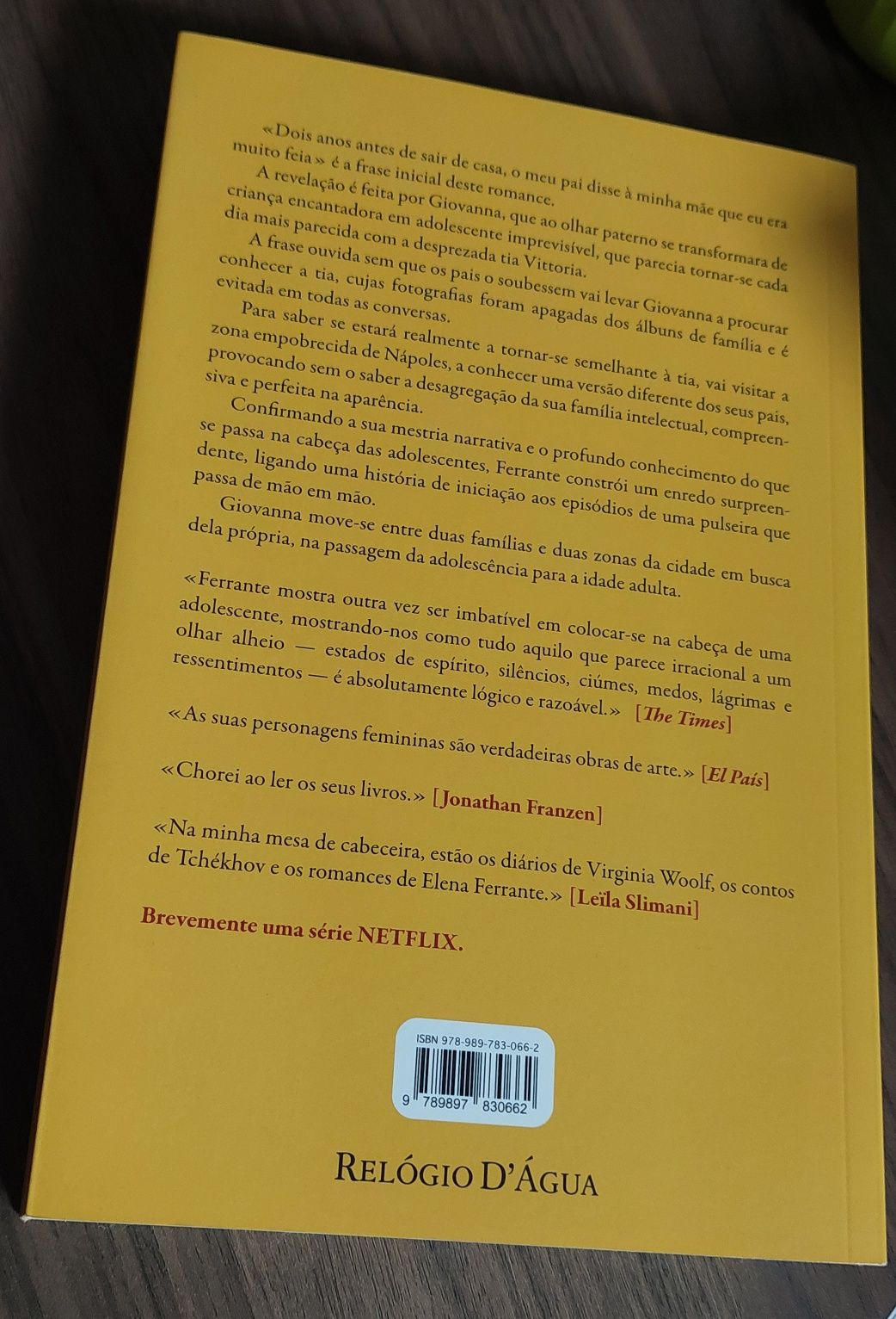 Livro "A vida mentirosa dos adultos"