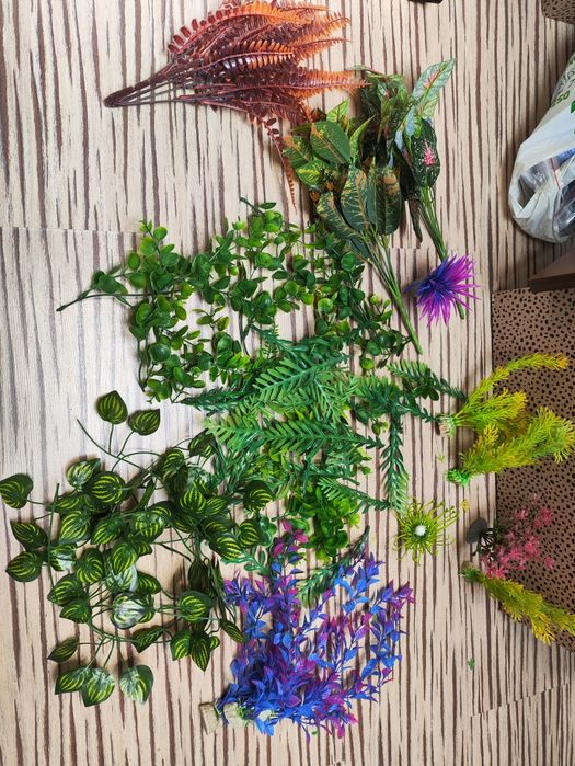 Zestaw roślin akwariowych / terrariowych