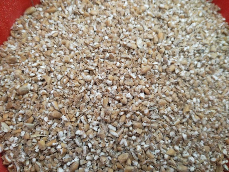 Śruta pszenna dla kur/ ptaków