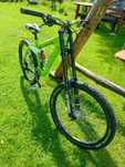 Rower dh umf freddy