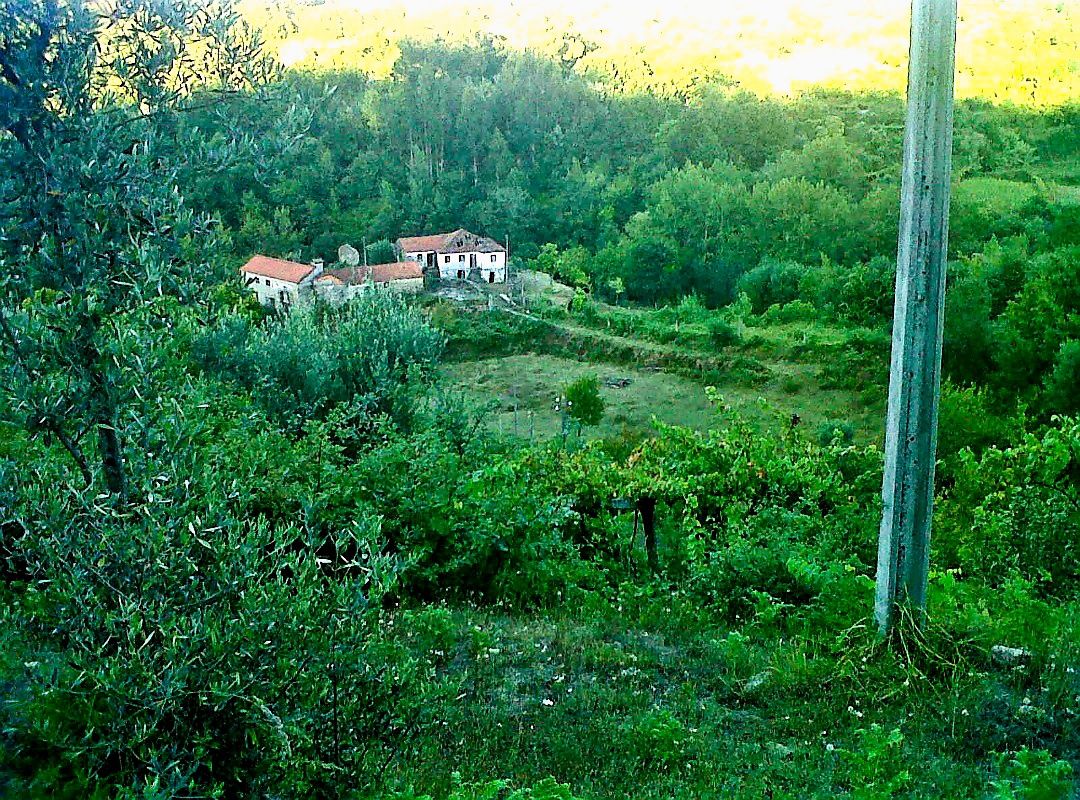 Quinta com Ribeiro - Para venda