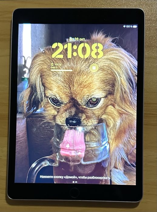 Планшет Apple iPad 10.2" (9 Gen) 64GB Wi-Fi Space Gray 2021