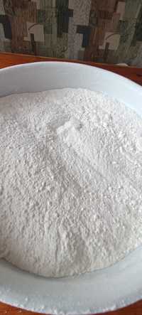 Mąka pszenna ekologiczna typ 450