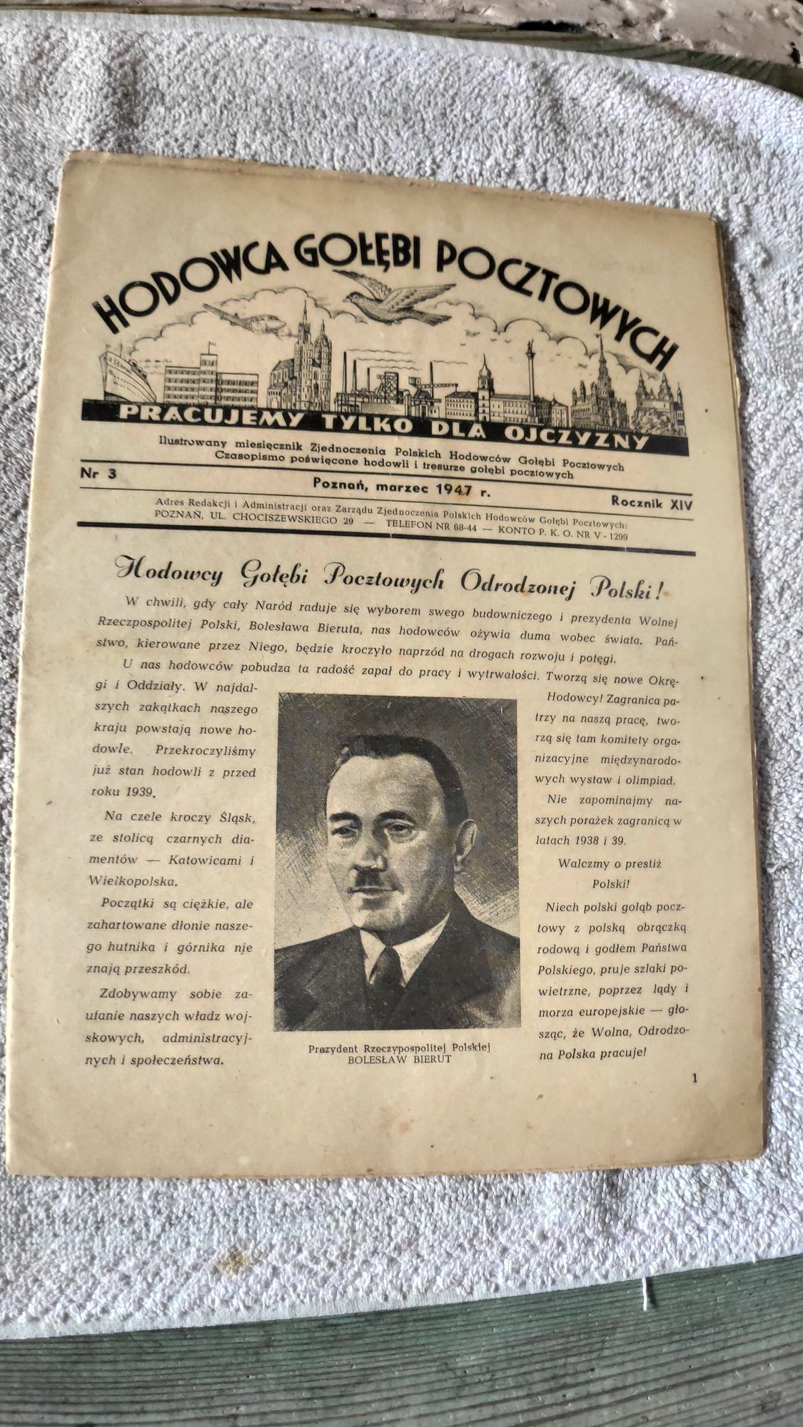 Hodowca gołębi pocztowych rok 1947.