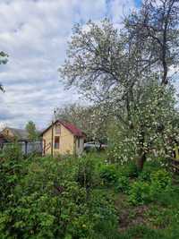 Продається земельна ділянка із будинком у м.Боярка