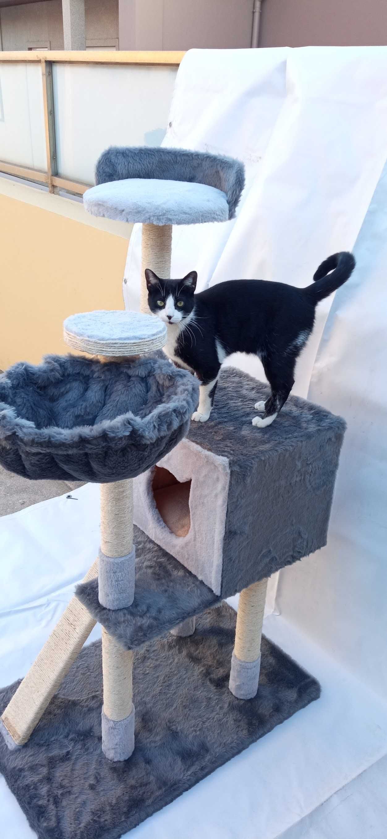 Arranhadores para Gatos!!!