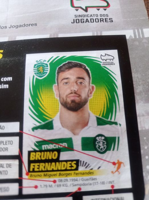 Caderneta da panini 18-19 completa