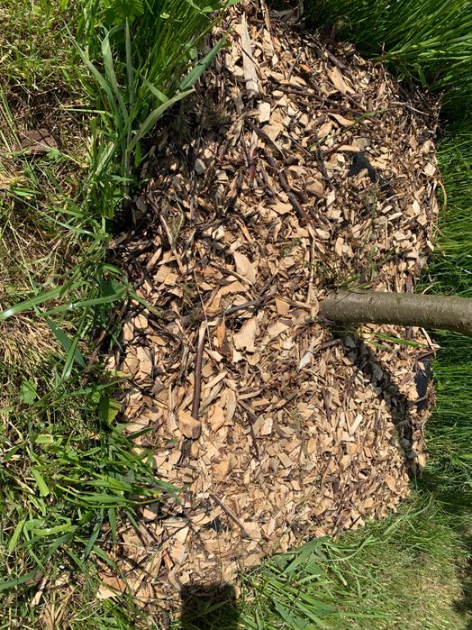 Zrębki, ściółka ogrodowa, pod tuje, maliny, borówki, drzewka, palenia