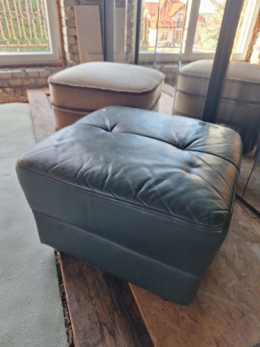 Pufa skóropodobna zielona