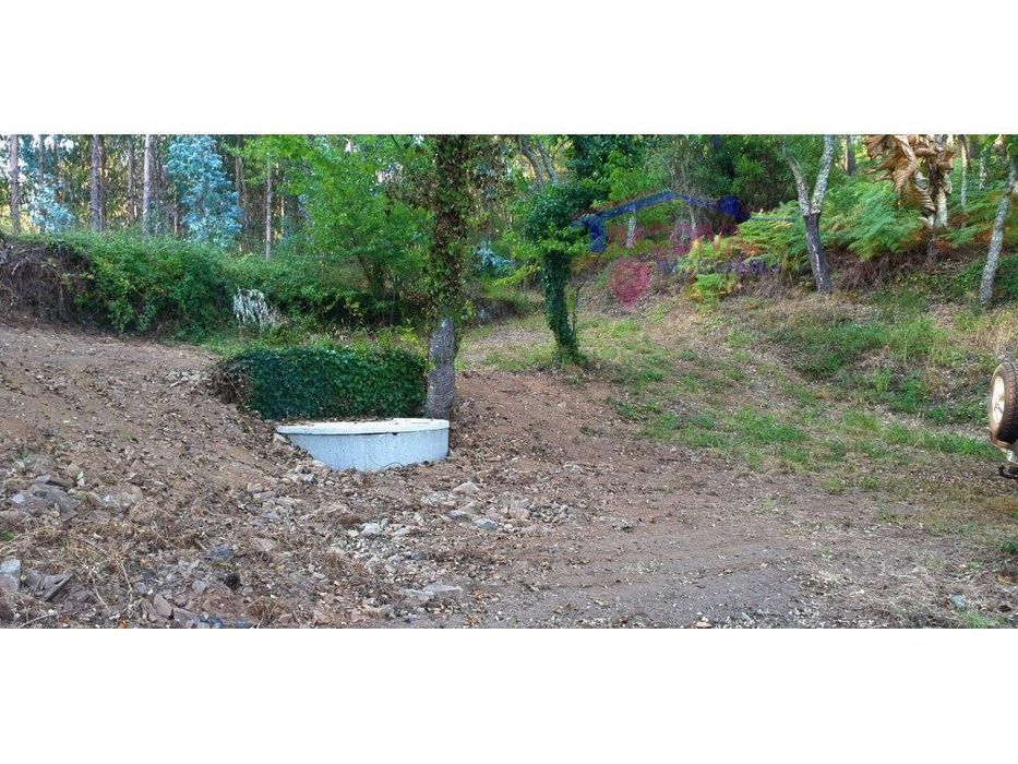 Terreno em Cernache do Bonjardim