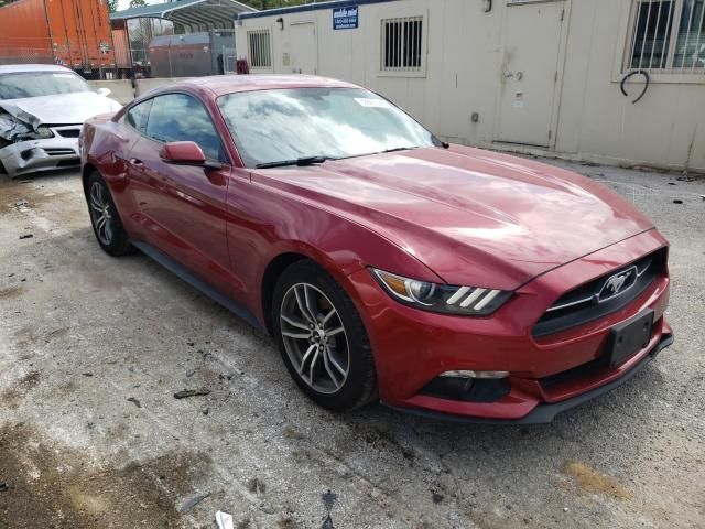 Ford Mustang Ford Mustang 2016r FULL OPCJA, 2.3l! USA! Niski koszt naprawy!!!