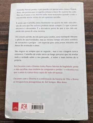 Encontro com o destino de Lesley Pearse