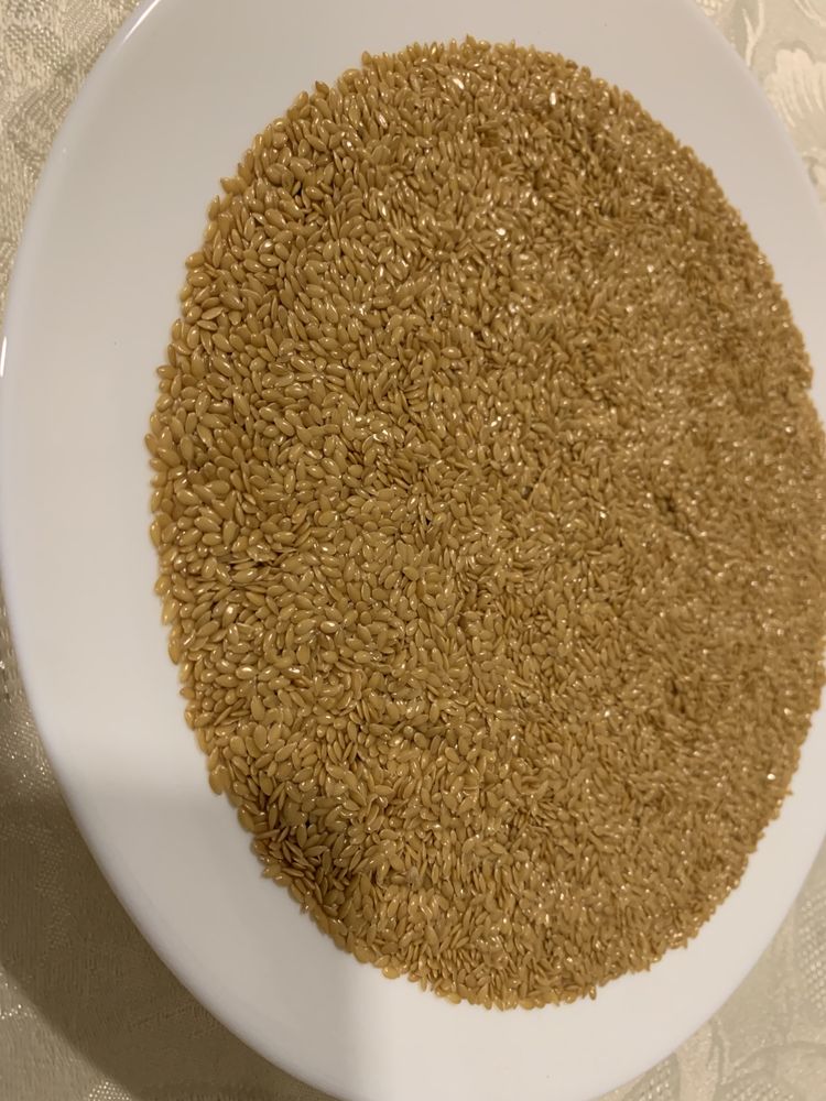 Насіння льону золотистого, семена льна. Вихід  масла 30-35%.