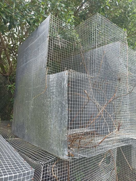 Gaiolas para pássaros de bico curvo em rede dupla zincagem