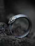 Anel Ouroboros (Novo)