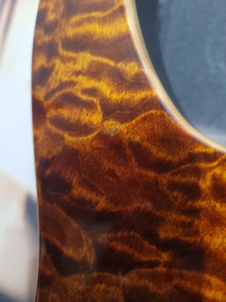 Peavey Limited HB USA