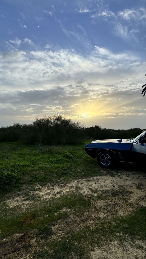Muscle car Pontiac firebird 1969 V8