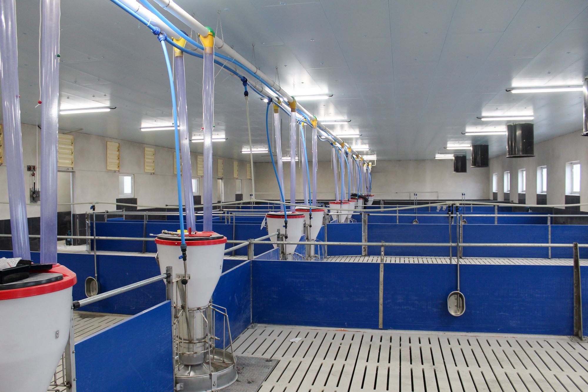 Podsufitka Dachowa Budynku Inwentarskiego i Magazynu Styrodur XPS AGRO