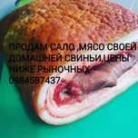 Продам Сало мясо домашнее