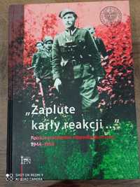 Polskie podziemie niepodległość II Wojna Światowa IPN