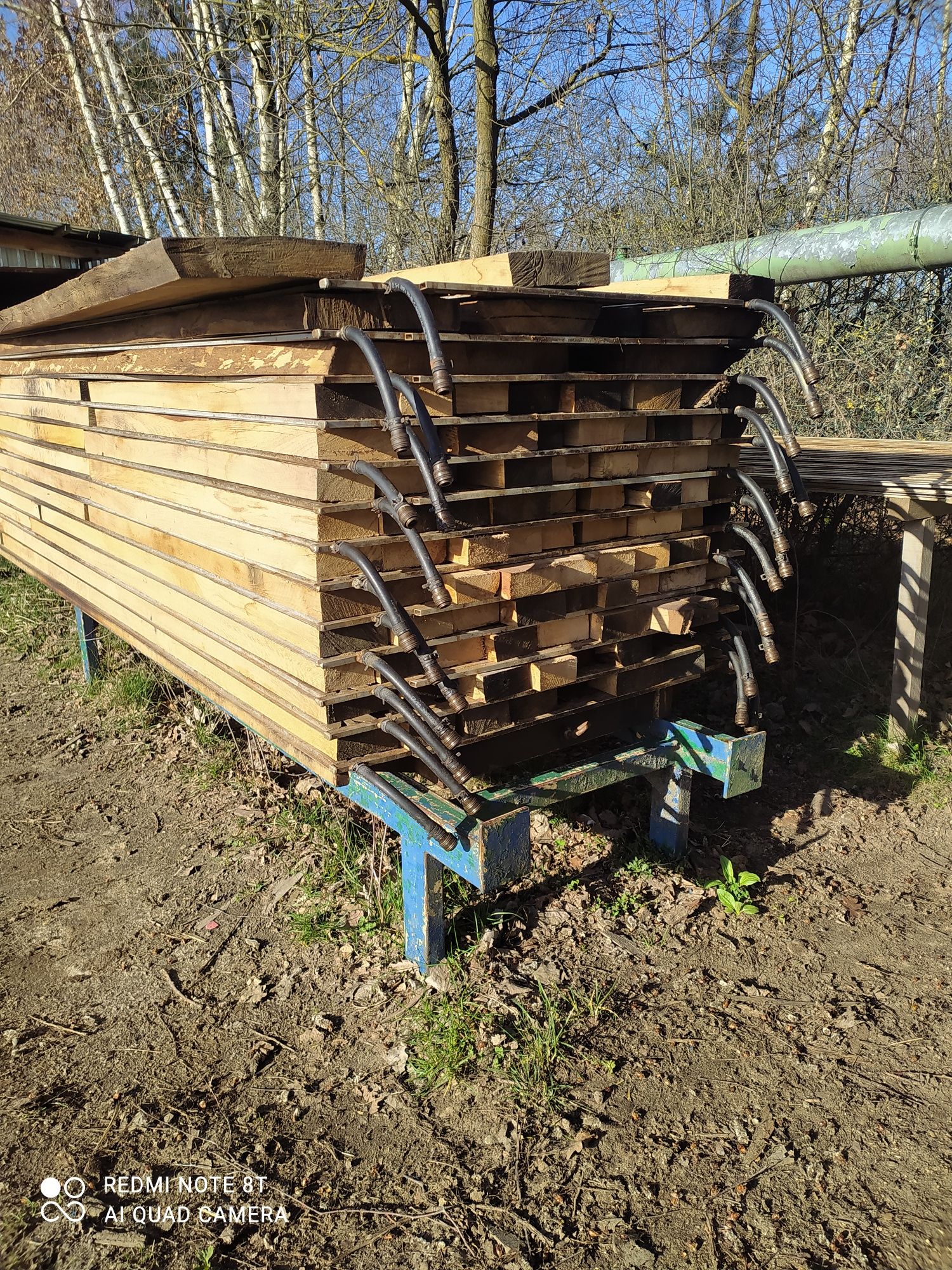 Deski dębowe  suszenie drewna suszarnia
