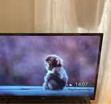 Smart Tv 32" S5200 LED Hd - Tcl