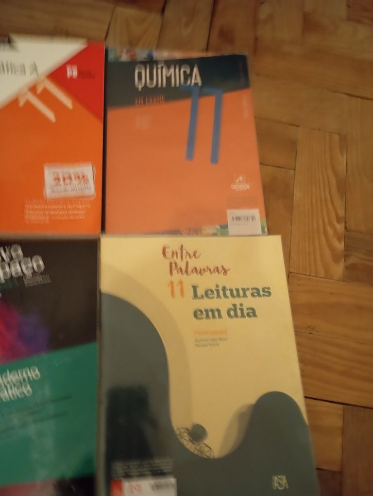 Cadernos de atividades 11°ano