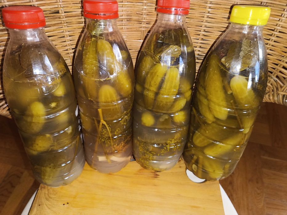 Ogórki kiszone 1 litr