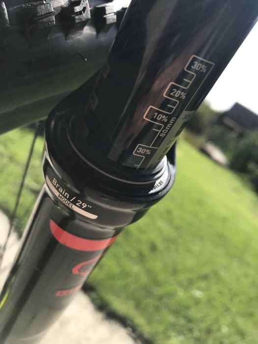 Rock shox sid brain 29