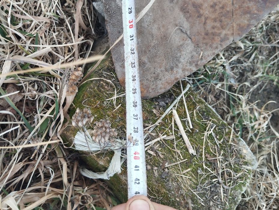 Культиватор та плуг