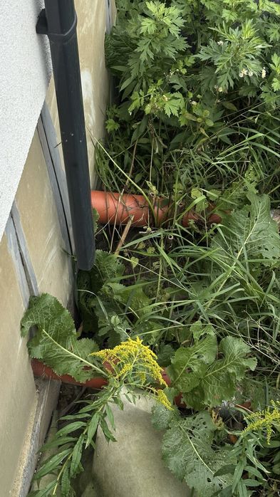 Ходосівка, таунхаус 90 м2, до Мануфактури 300 метрів