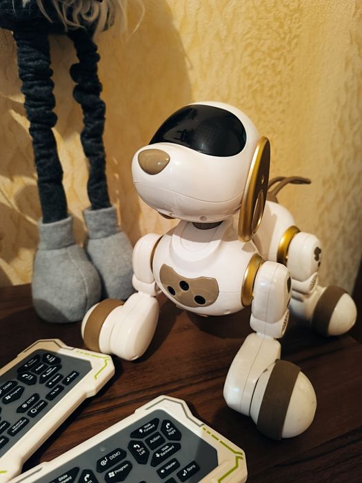 Собака на пульте управления