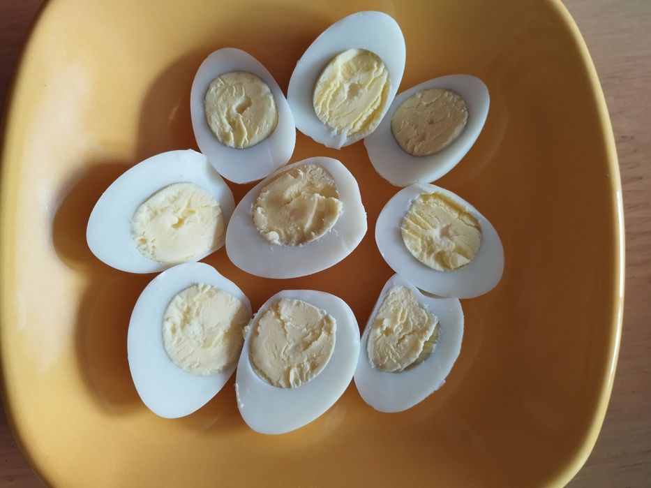 Świeże i zdrowe jaja przepiórcze