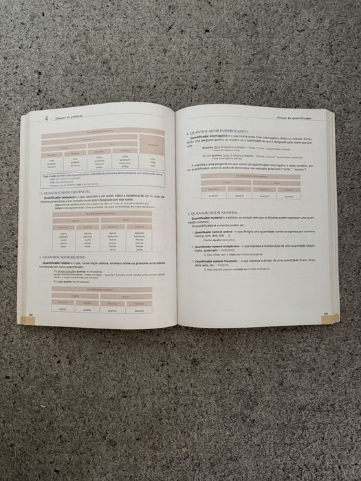 Gramatica de lingua portuguesa - dominios