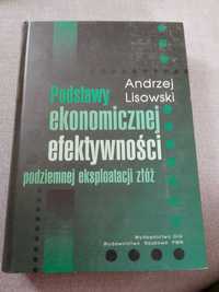 Lisowski A., Podstawy ekonomicznej efektywności podziemnej...